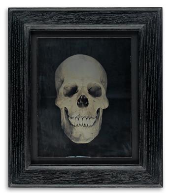 ADAM FUSS (1961- ) Untitled (Human skull).